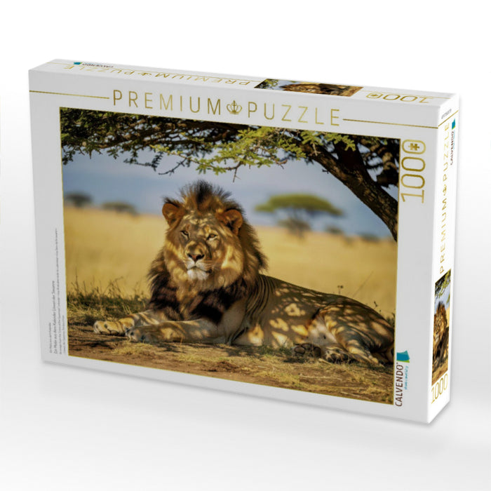 Ein Motiv aus dem Kalender Löwen der Savanne - CALVENDO Foto-Puzzle'