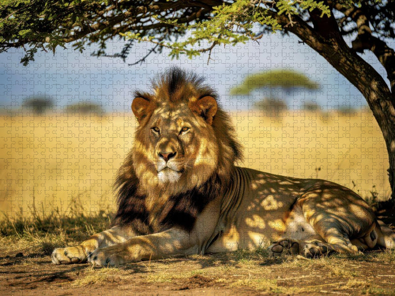 Ein Motiv aus dem Kalender Löwen der Savanne - CALVENDO Foto-Puzzle'