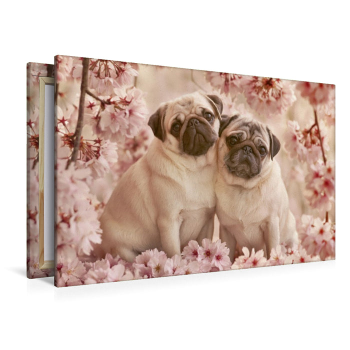 Premium Textil-Leinwand Liebe beginnt mit einem treuen Blick