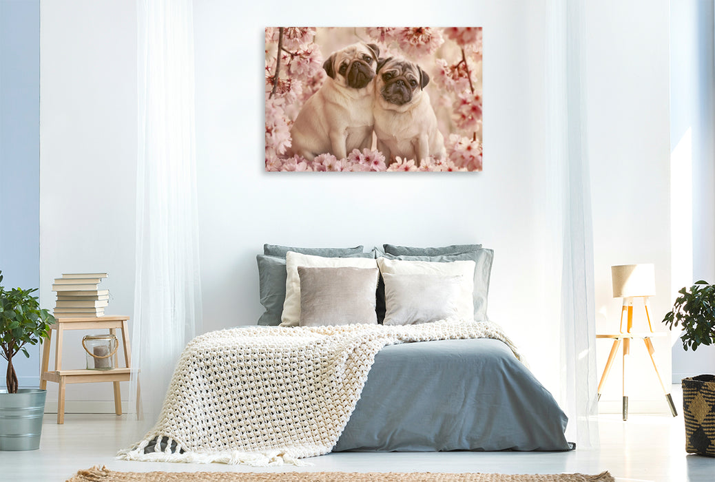 Premium Textil-Leinwand Liebe beginnt mit einem treuen Blick
