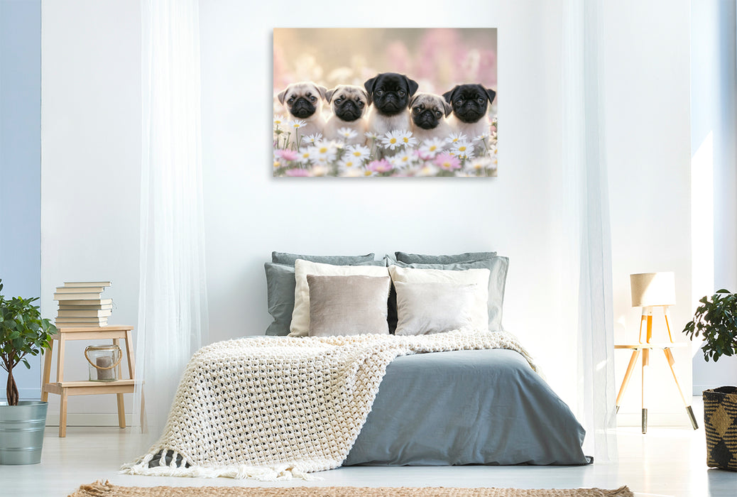 Premium Textil-Leinwand Sonne im Herzen, Glück im Blick