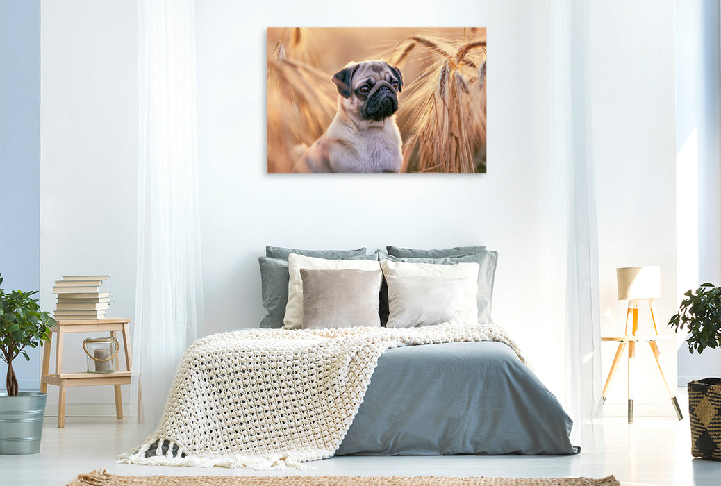 Premium Textil-Leinwand Der Sommer geht, es richt nach Herbst