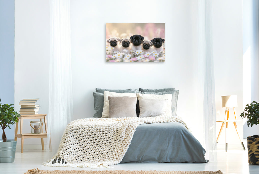 Premium Textil-Leinwand Sonne im Herzen, Glück im Blick