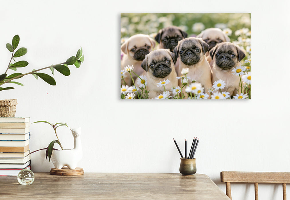 Premium Textil-Leinwand Ein Motiv aus dem Kalender Edle Möpse