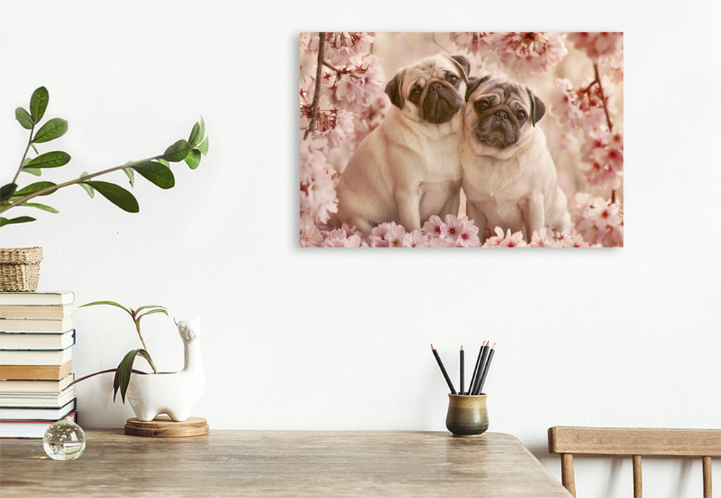 Premium Textil-Leinwand Liebe beginnt mit einem treuen Blick