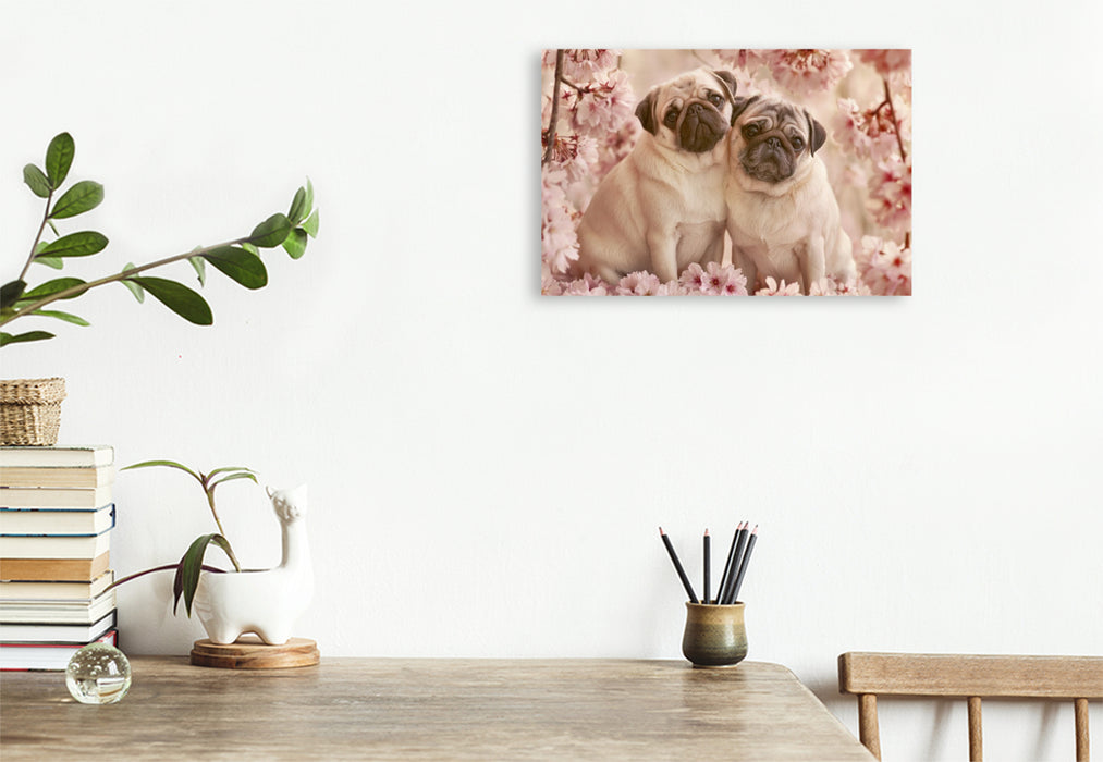 Premium Textil-Leinwand Liebe beginnt mit einem treuen Blick