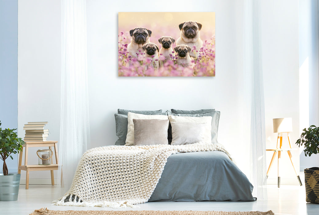 Premium Textil-Leinwand Ein Motiv aus dem Kalender Edle Möpse