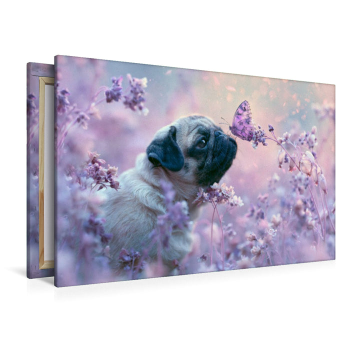 Premium Textil-Leinwand Ein Motiv aus dem Kalender Edle Möpse