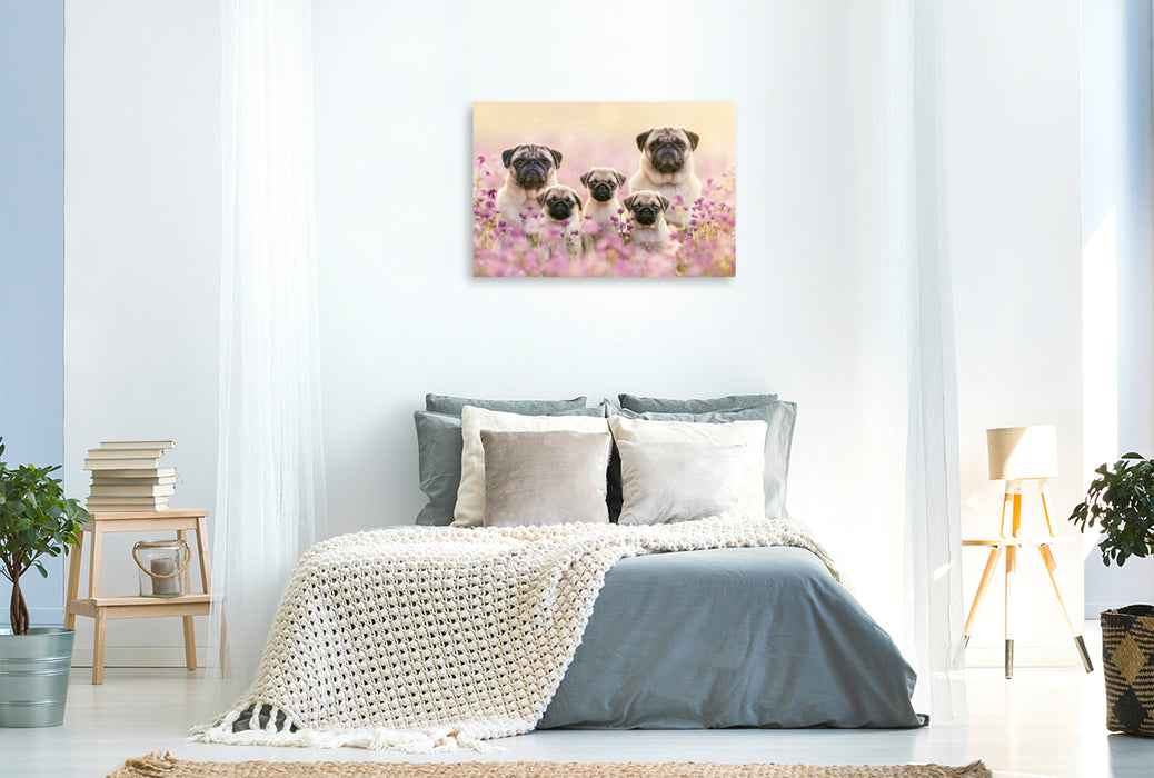 Premium Textil-Leinwand Ein Motiv aus dem Kalender Edle Möpse