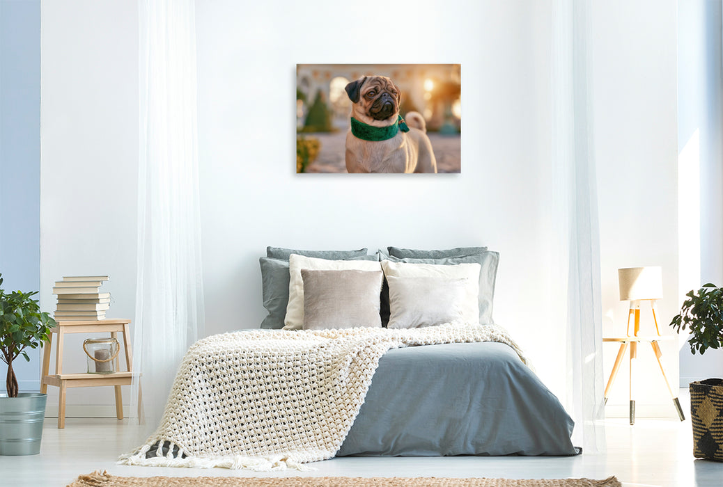 Premium Textil-Leinwand Klein, edel und einfach bezaubernd