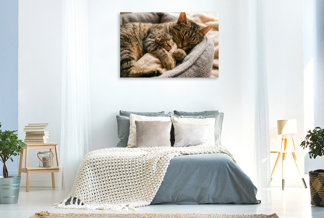 Premium Textil-Leinwand Der beste Schlafplatz ist in Mutters Pfoten