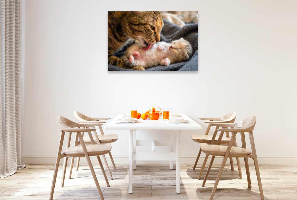 Premium Textil-Leinwand Wohlfühlmassage - Katzenmutter und Kätzchen
