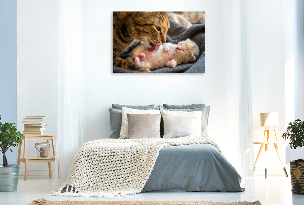 Premium Textil-Leinwand Wohlfühlmassage - Katzenmutter und Kätzchen
