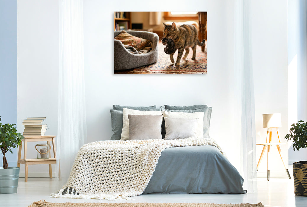 Premium Textil-Leinwand Umzug ins weiche Körbchen
