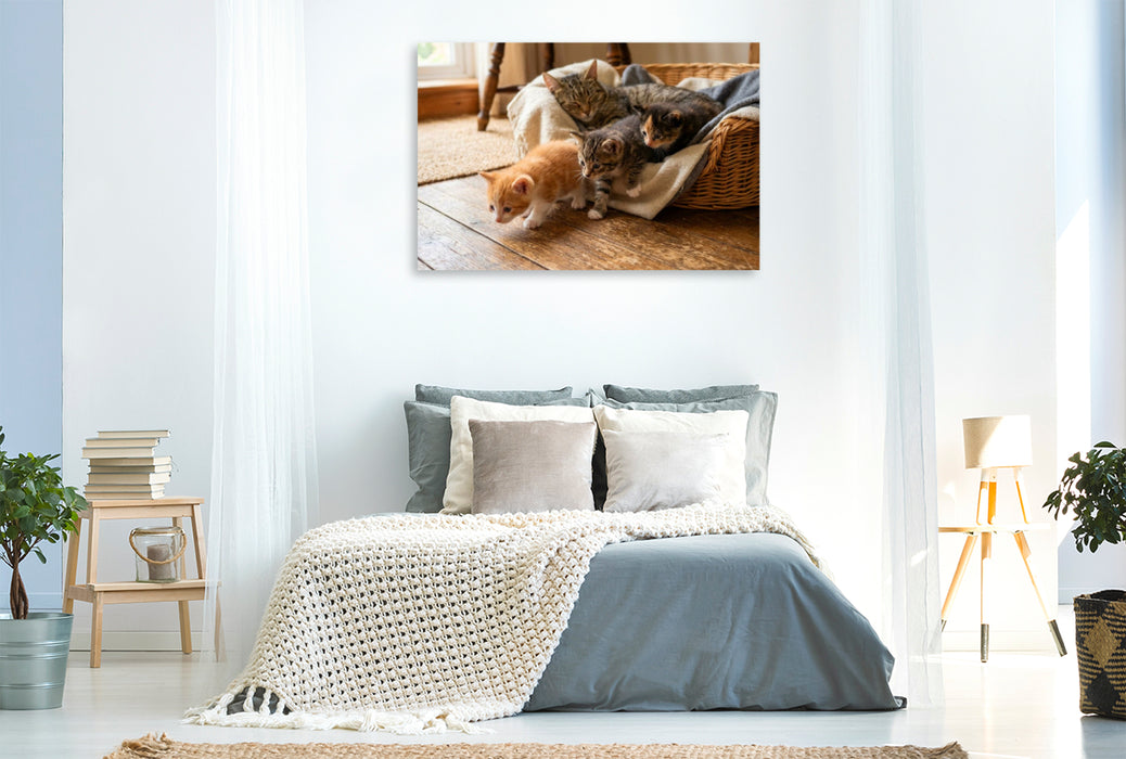Premium Textil-Leinwand Heimlicher Aufbruch - Kätzchen erkunden die Welt