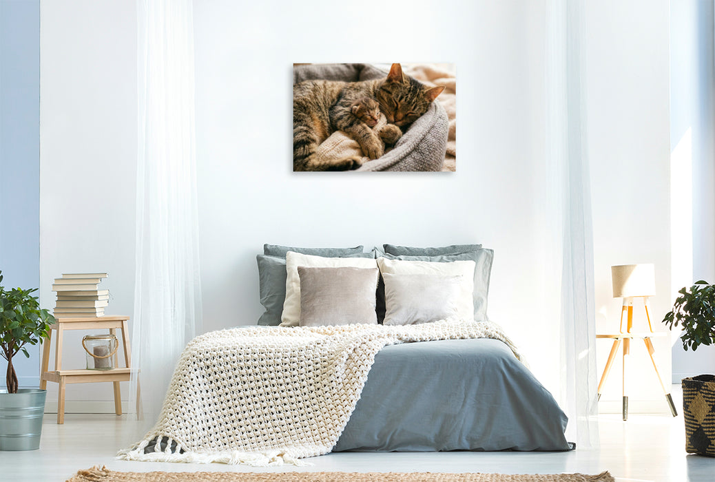 Premium Textil-Leinwand Der beste Schlafplatz ist in Mutters Pfoten