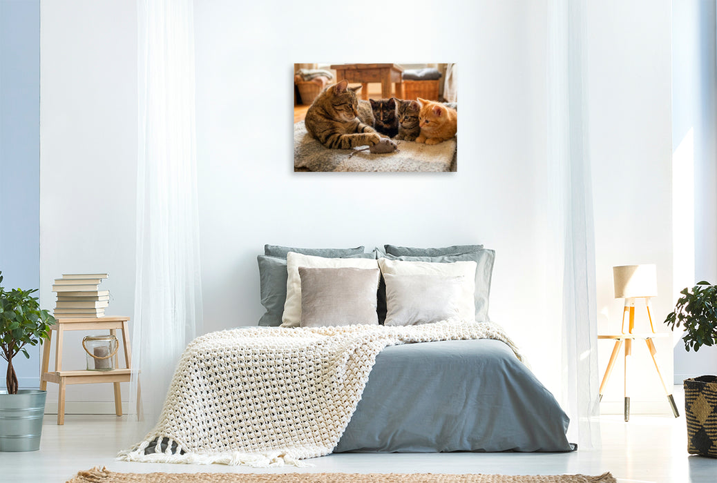 Premium Textil-Leinwand Mauserklärung - Katzenmutter und Kätzchen