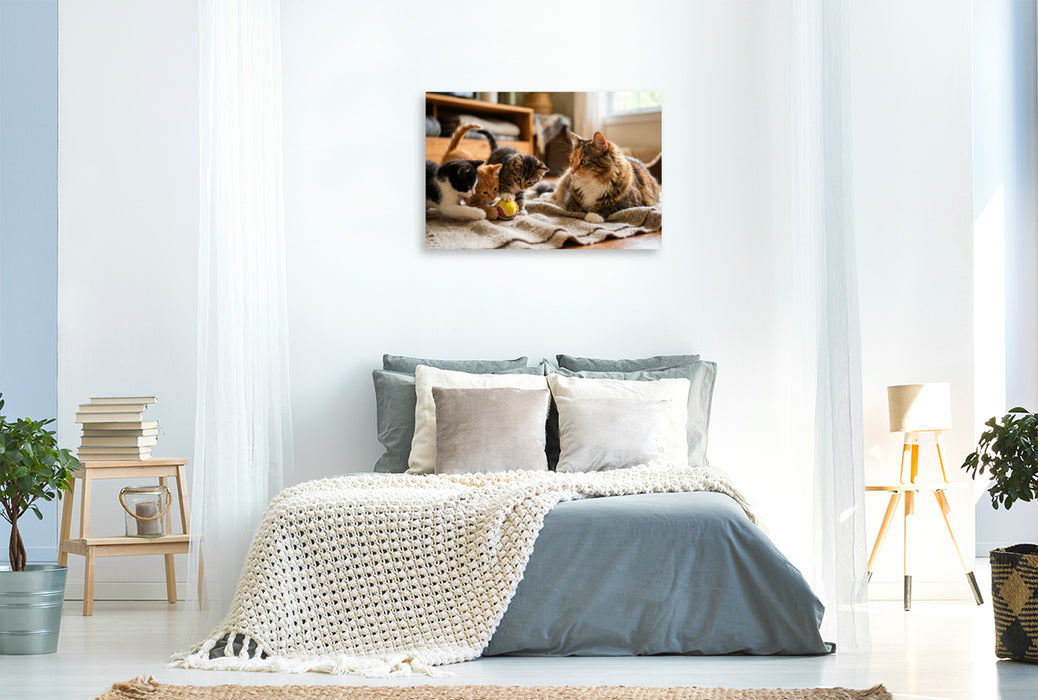 Premium Textil-Leinwand Kätzchen spielen mit dem Ball