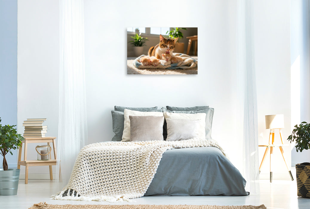 Premium Textil-Leinwand Katzenmutter und Kitten