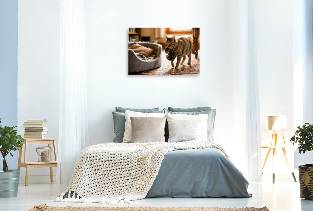 Premium Textil-Leinwand Umzug ins weiche Körbchen