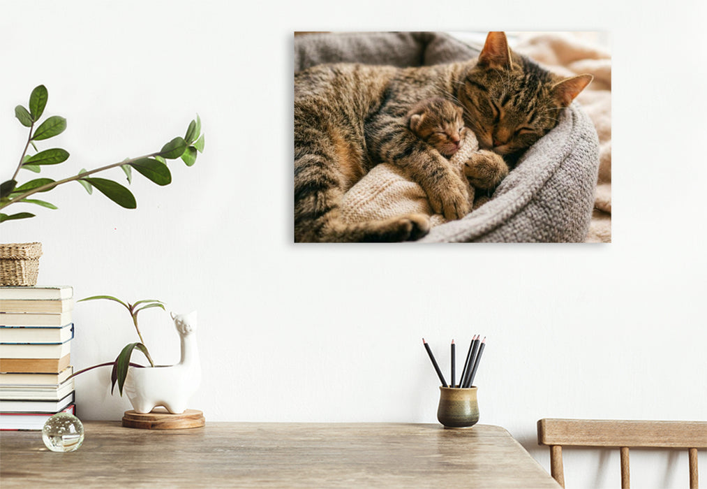Premium Textil-Leinwand Der beste Schlafplatz ist in Mutters Pfoten