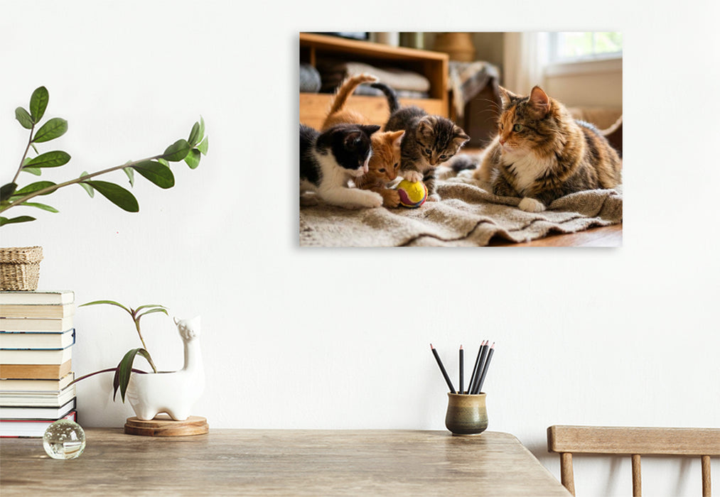 Premium Textil-Leinwand Kätzchen spielen mit dem Ball