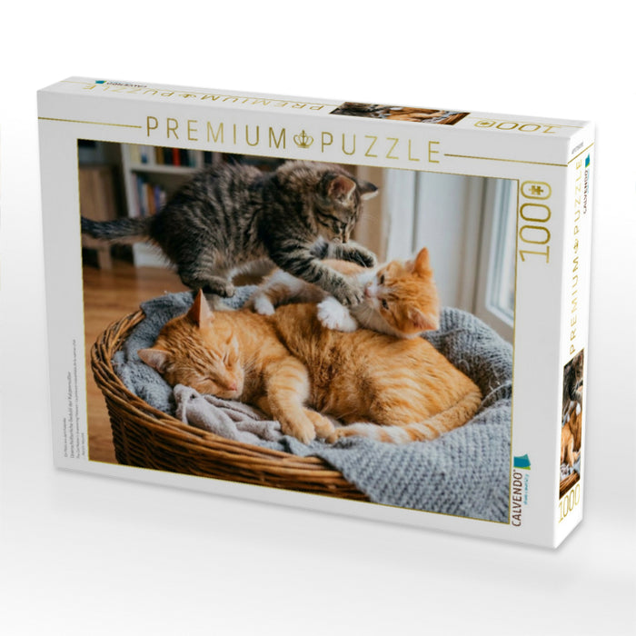 Unerschütterliche Geduld der Katzenmutter - CALVENDO Foto-Puzzle'