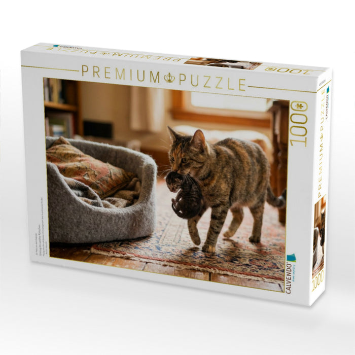Umzug ins weiche Körbchen - CALVENDO Foto-Puzzle'