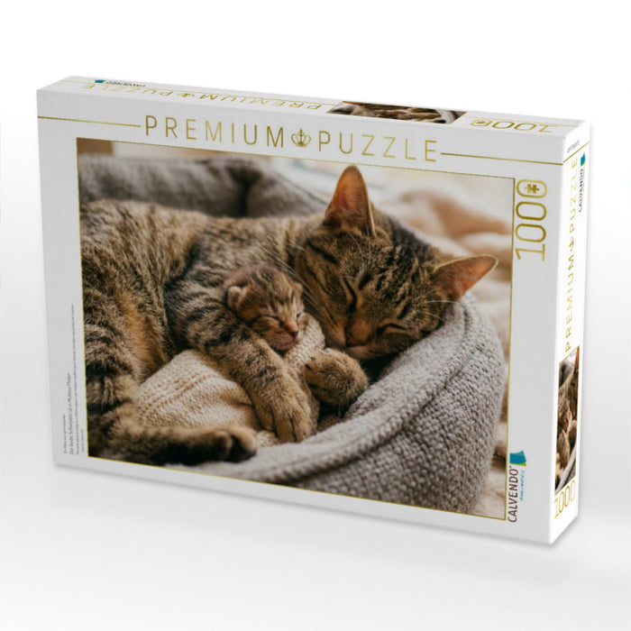 Der beste Schlafplatz ist in Mutters Pfoten - CALVENDO Foto-Puzzle'