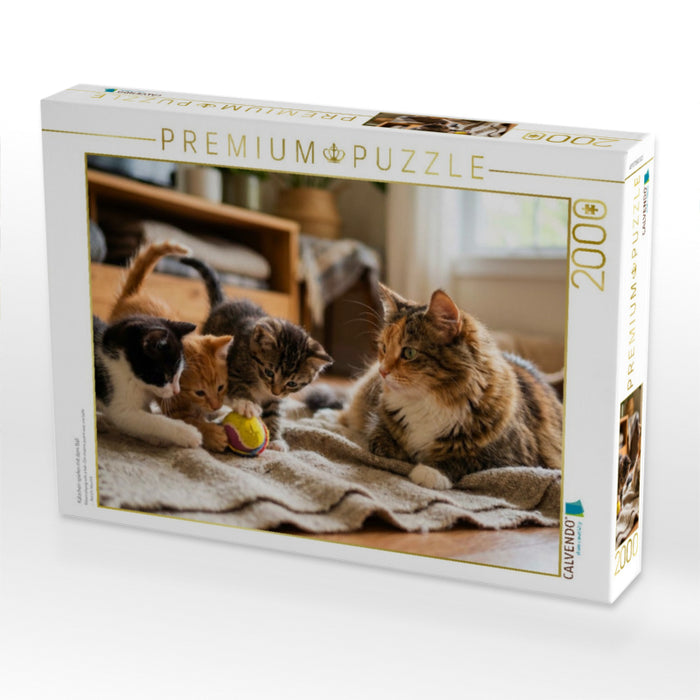 Kätzchen spielen mit dem Ball - CALVENDO Foto-Puzzle'