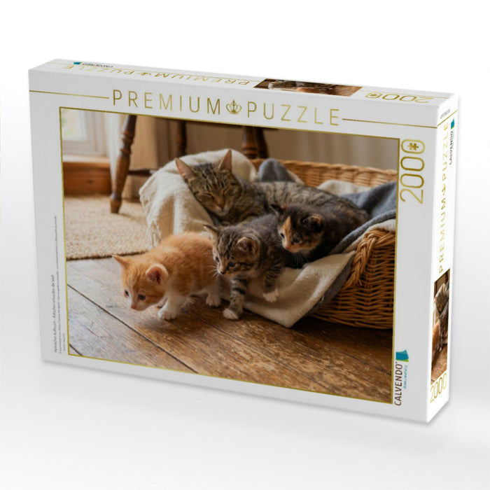 Heimlicher Aufbruch - Kätzchen erkunden die Welt - CALVENDO Foto-Puzzle'