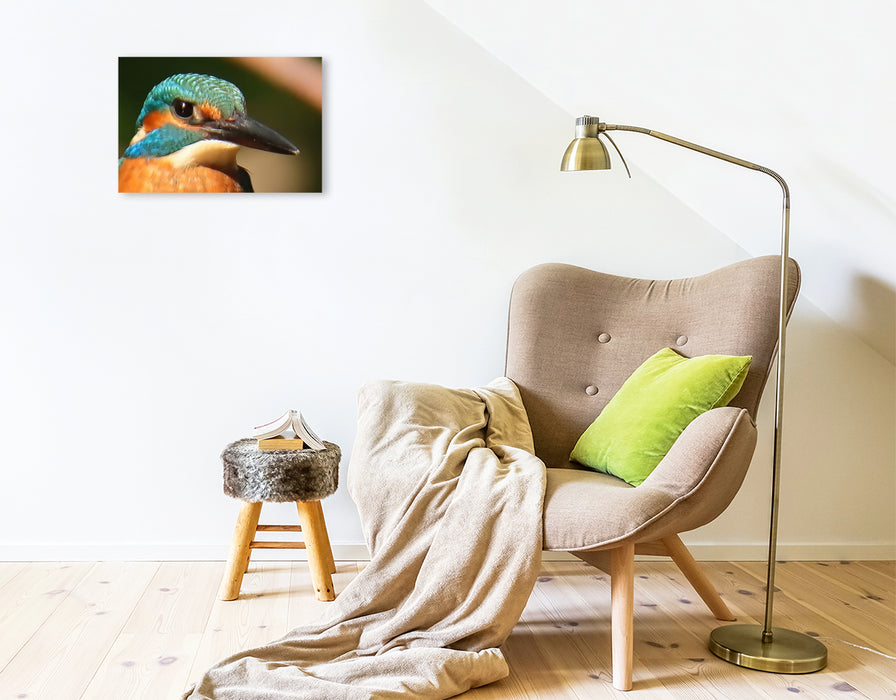 Premium Textil-Leinwand Eisvogel-Portrait