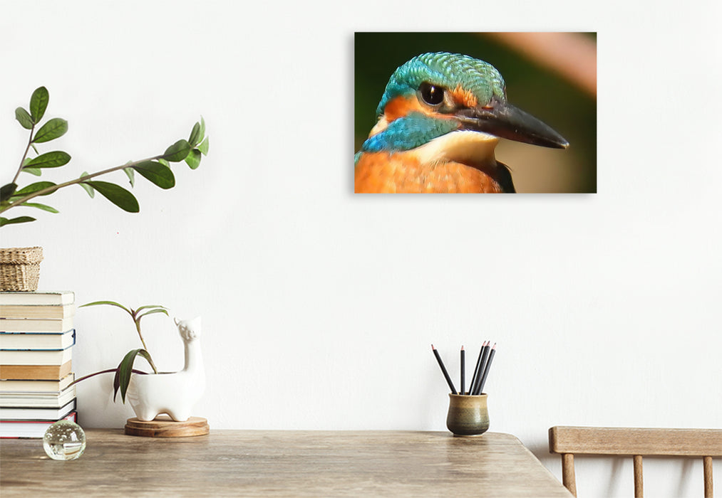Premium Textil-Leinwand Eisvogel-Portrait