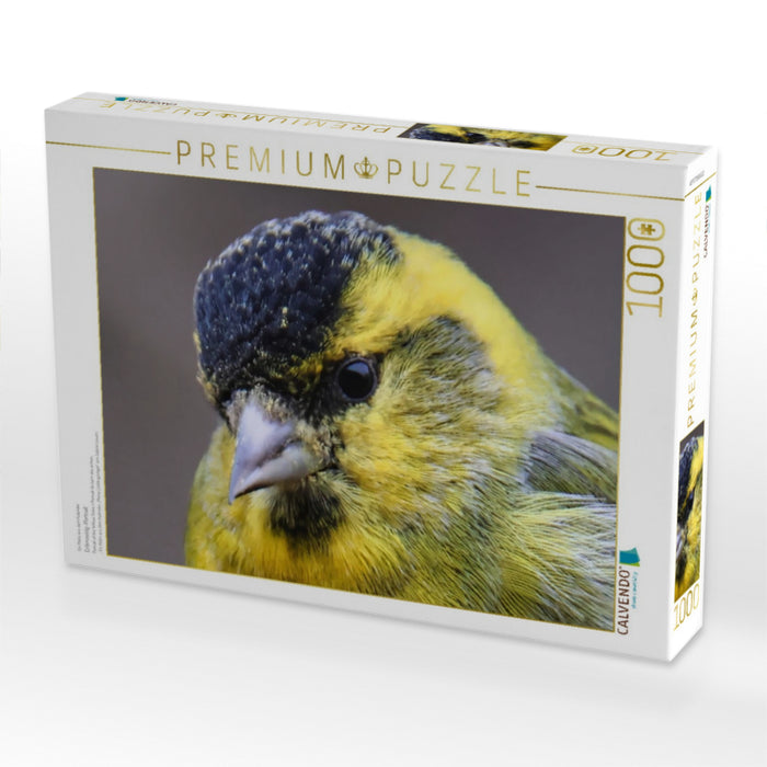 Erlenzeisig-Portrait - CALVENDO Foto-Puzzle'