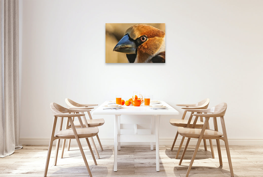 Premium Textil-Leinwand Kernbeißer-Portrait