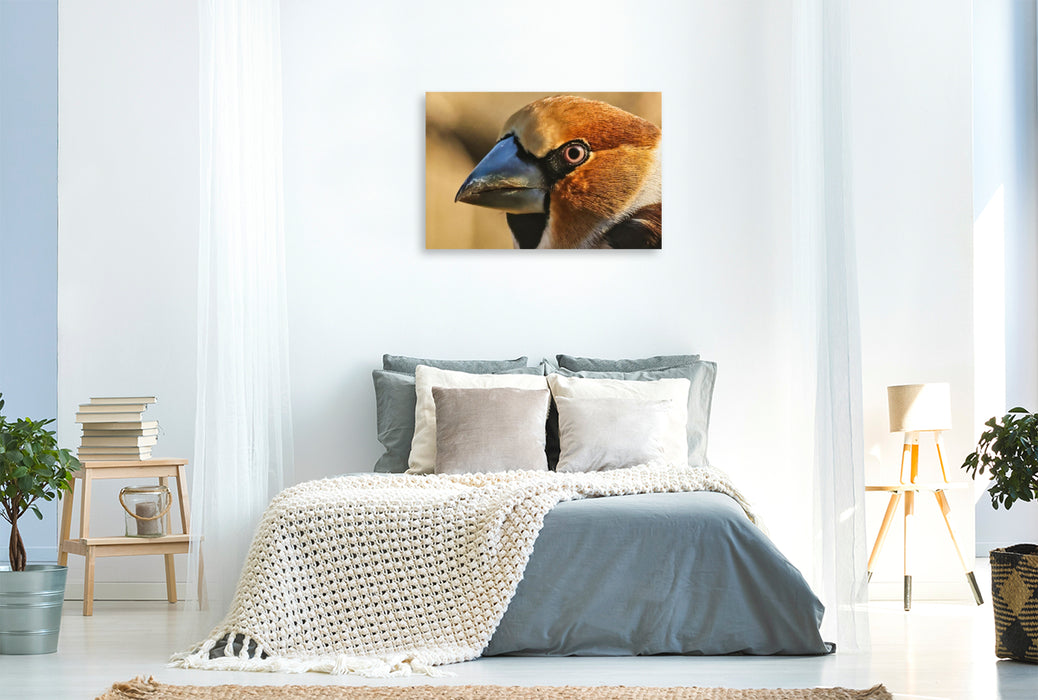 Premium Textil-Leinwand Kernbeißer-Portrait