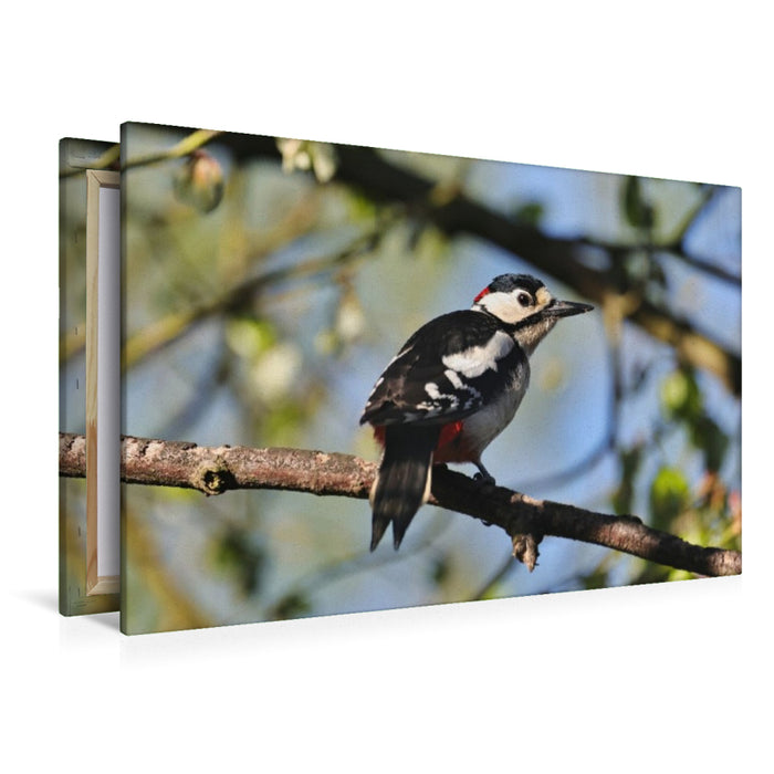Premium Textil-Leinwand Buntspecht