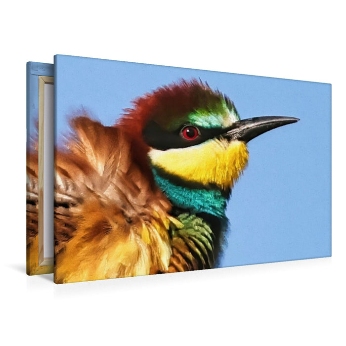 Premium Textil-Leinwand Bienenfresser-Portrait