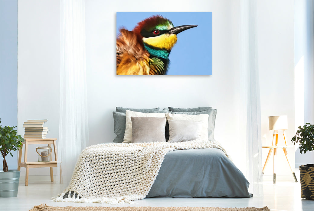 Premium Textil-Leinwand Bienenfresser-Portrait