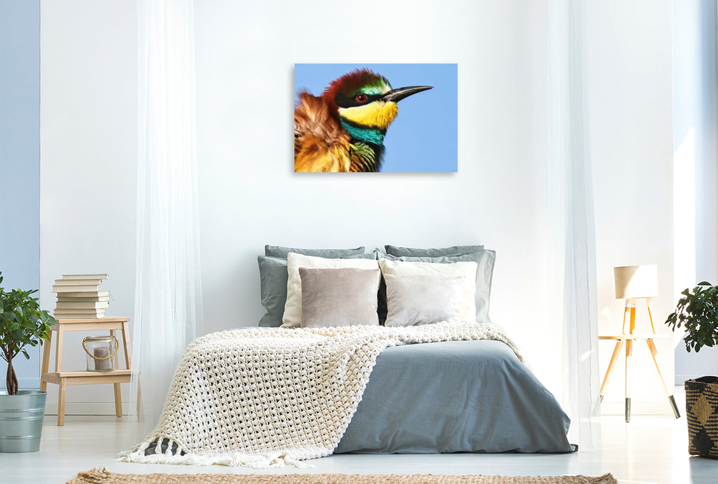 Premium Textil-Leinwand Bienenfresser-Portrait