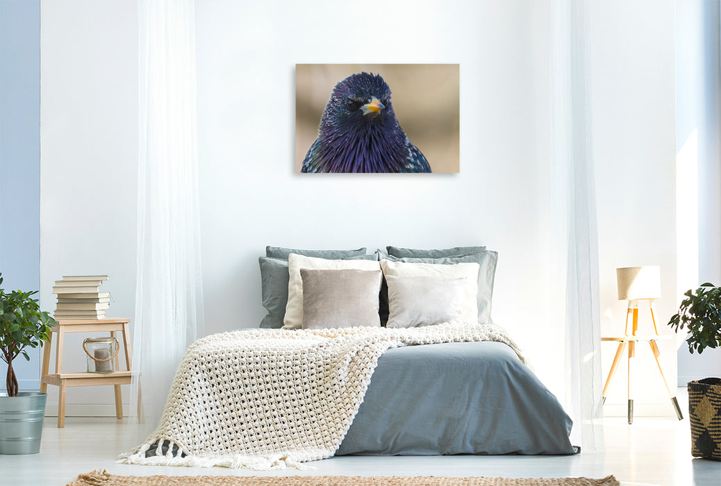 Premium Textil-Leinwand Star-Portrait