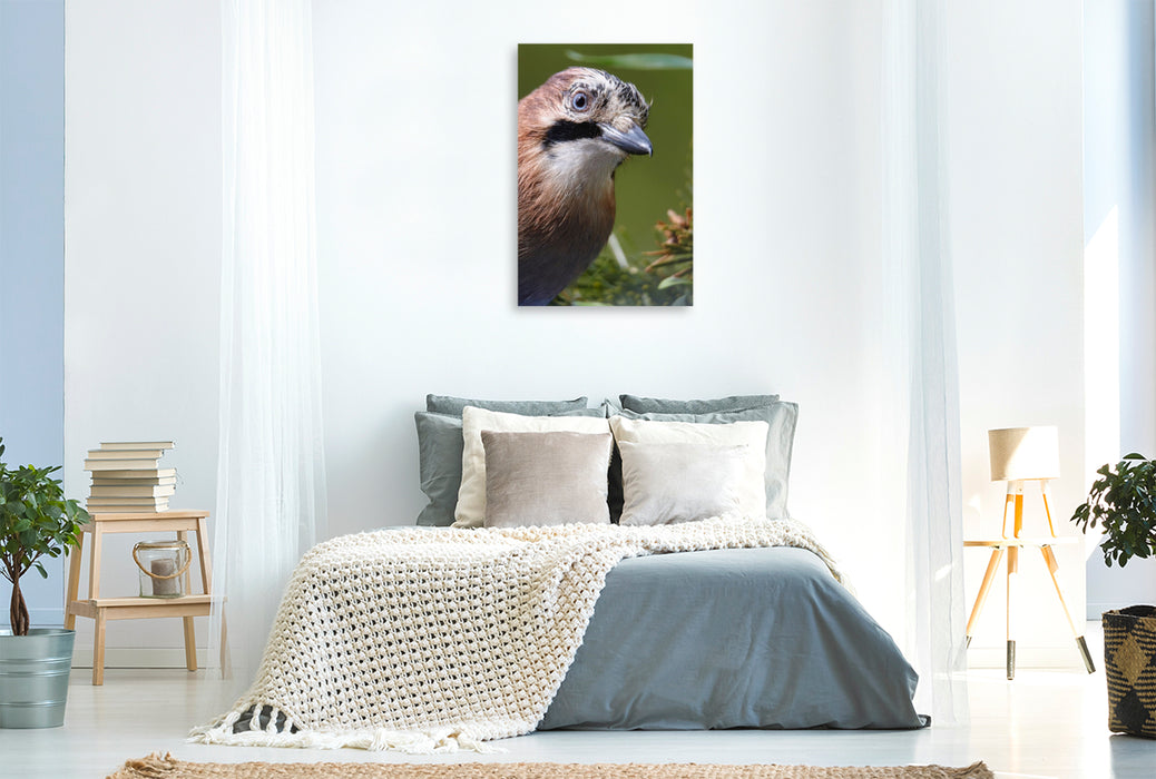 Premium Textil-Leinwand Eichelhäher-Portrait
