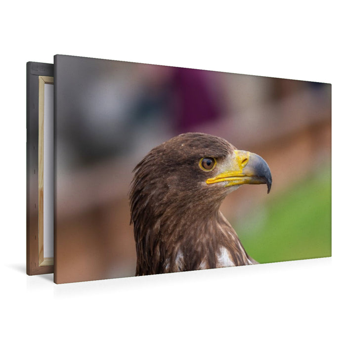 Premium Textil-Leinwand Adler. Porträt im Seitenprofil.