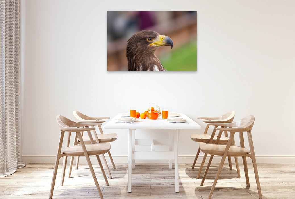 Premium Textil-Leinwand Adler. Porträt im Seitenprofil.