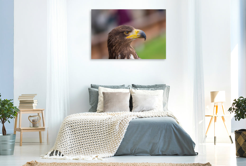 Premium Textil-Leinwand Adler. Porträt im Seitenprofil.
