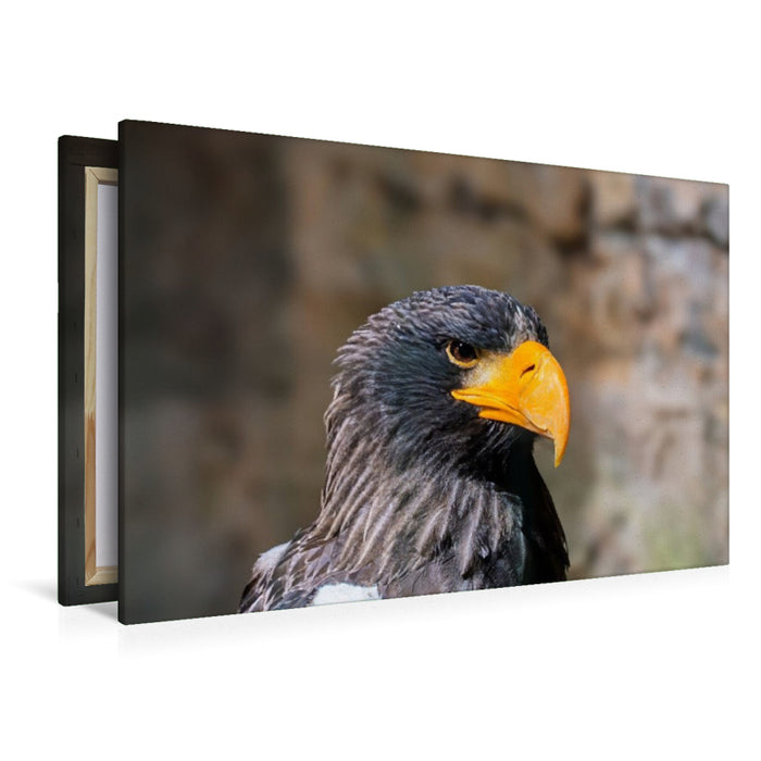 Premium Textil-Leinwand Riesenseeadler. Seitenprofil.