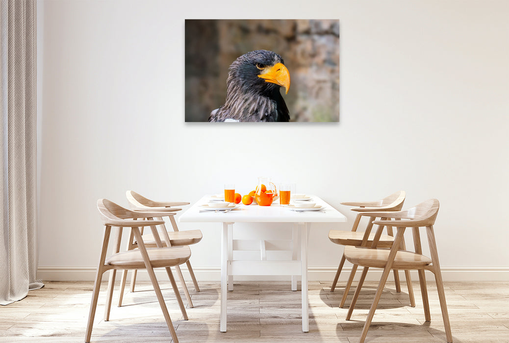 Premium Textil-Leinwand Riesenseeadler. Seitenprofil.
