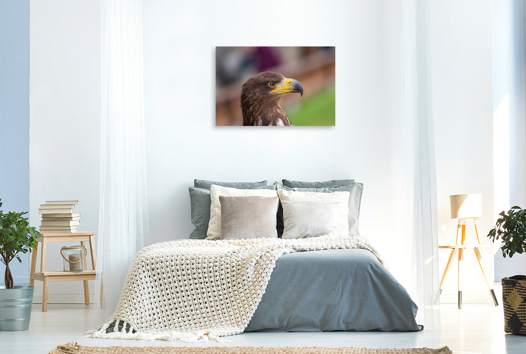 Premium Textil-Leinwand Adler. Porträt im Seitenprofil.