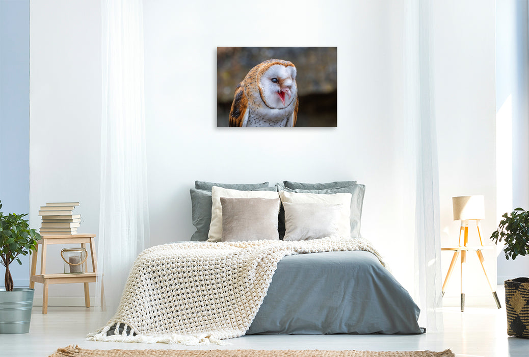 Premium Textil-Leinwand Schleiereule. Nahaufnahme mit geöffnetem Schnabel.