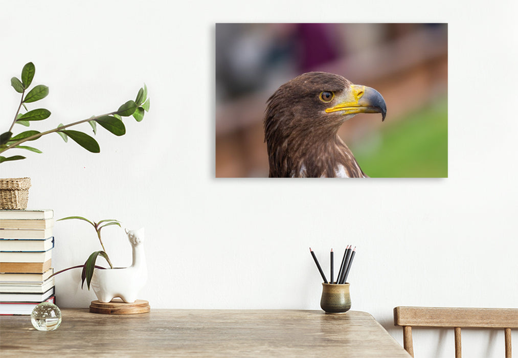 Premium Textil-Leinwand Adler. Porträt im Seitenprofil.